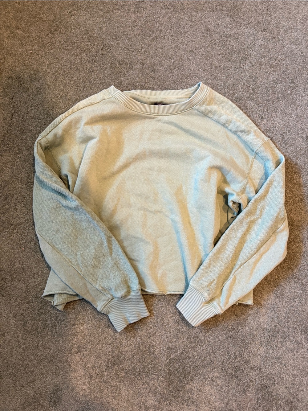 aerie cropped sweatshirt